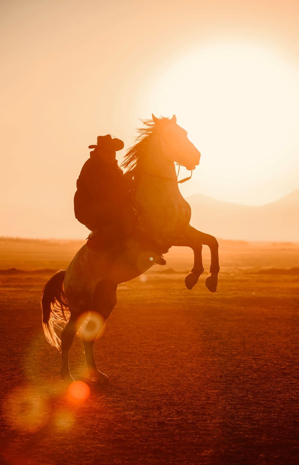 A cowboy on a rearing horse silhouetted against a warm desert sunset