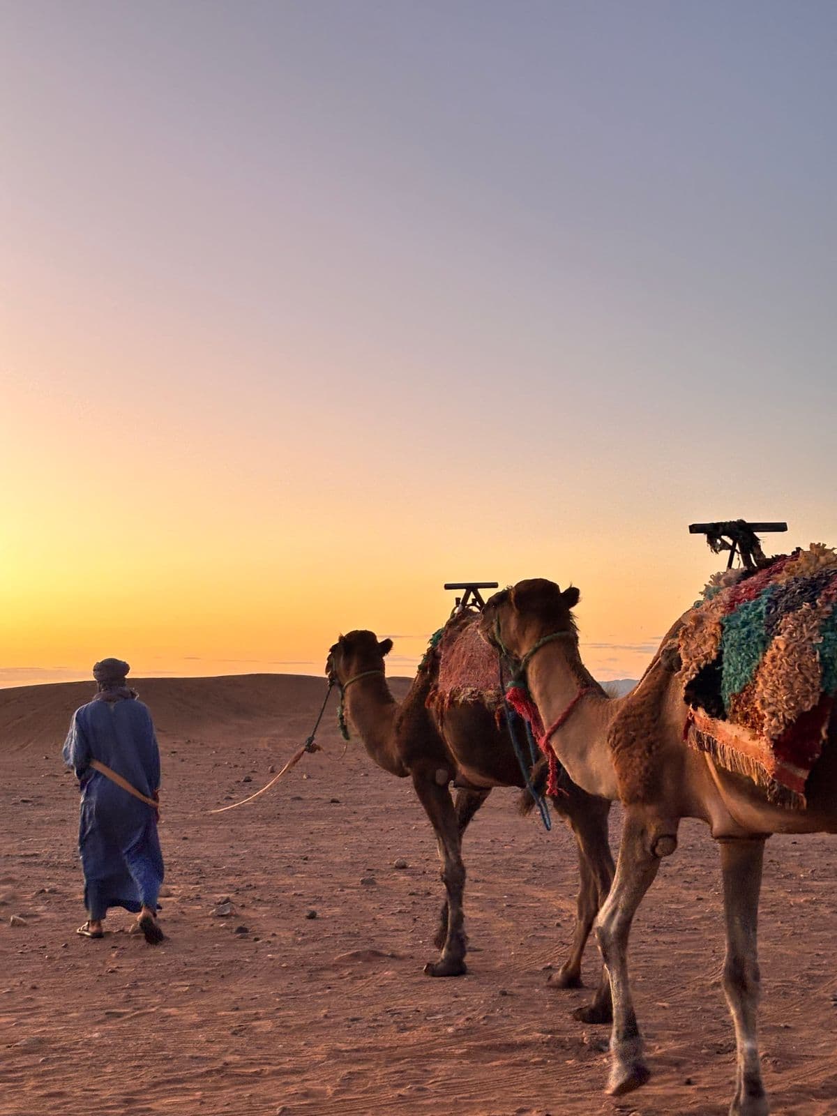 A robed guide leading a camel caravan across the desert at sunset
