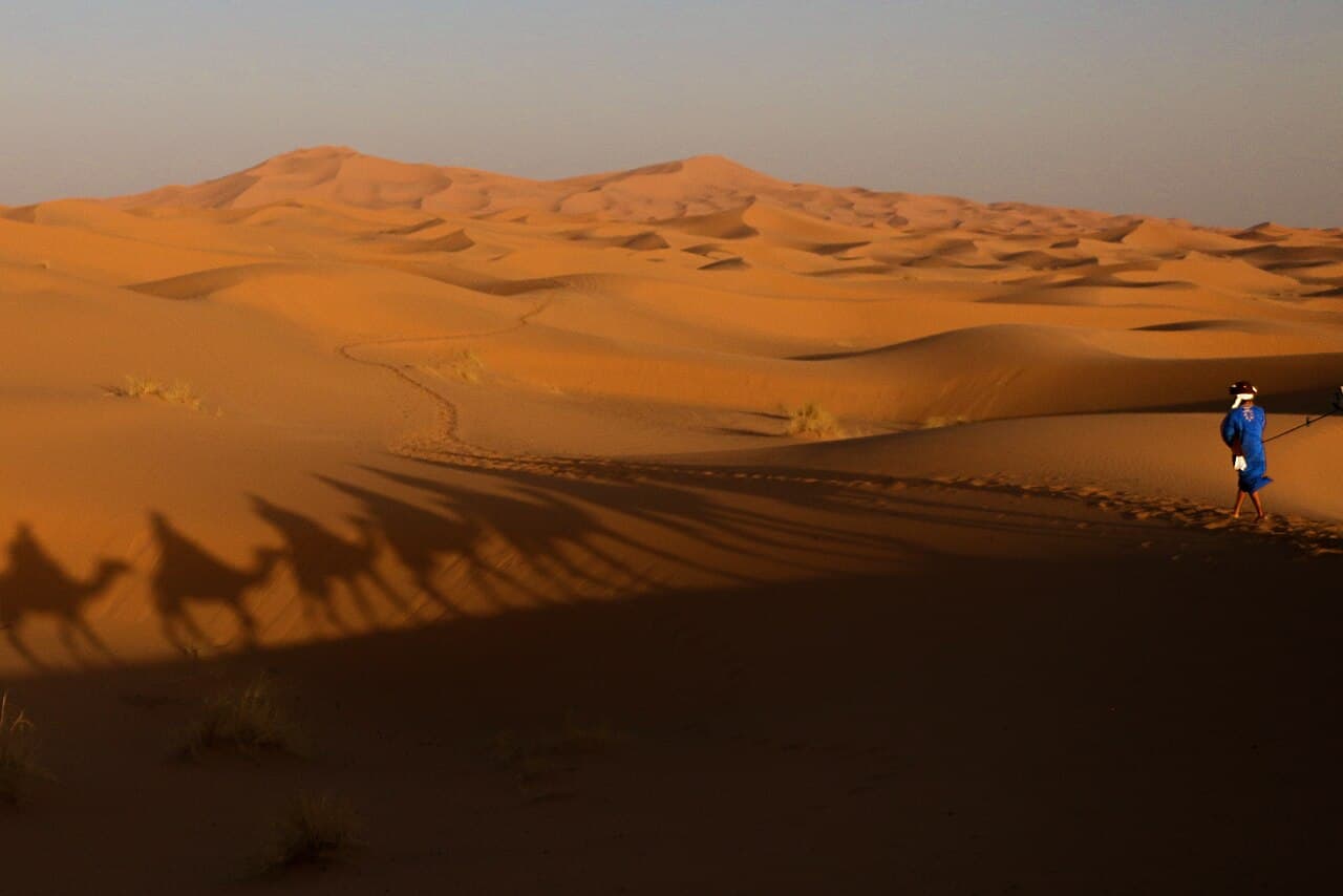A figure in indigo walks past camel shadows on Saharan dunes