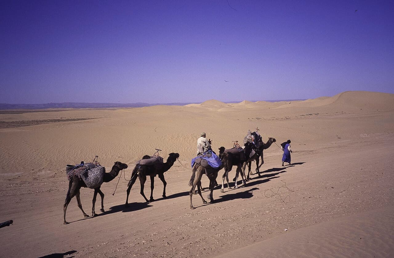 A camel caravan crossing pale dunes under a violet sky